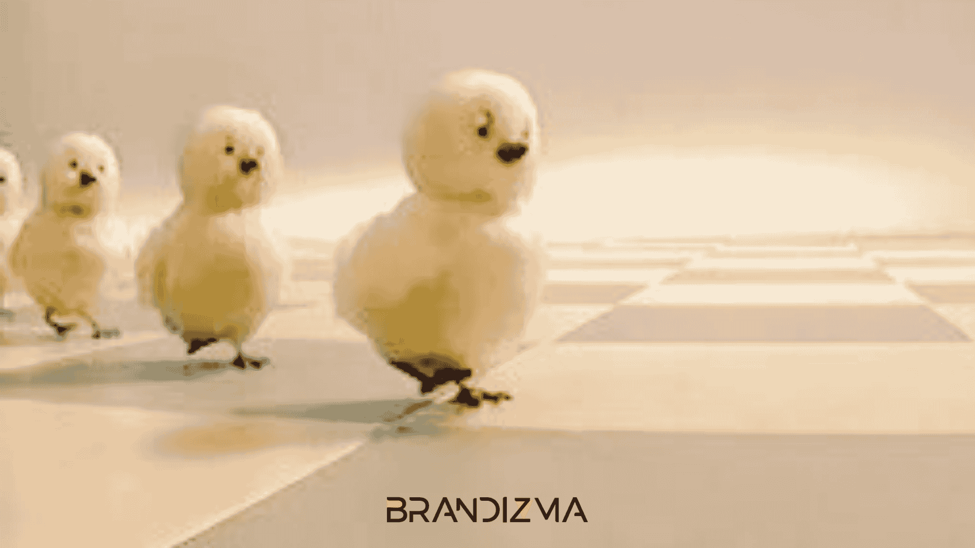 Dalin–Çocukların Gönlünden Annelerin Alışveriş Sepetine